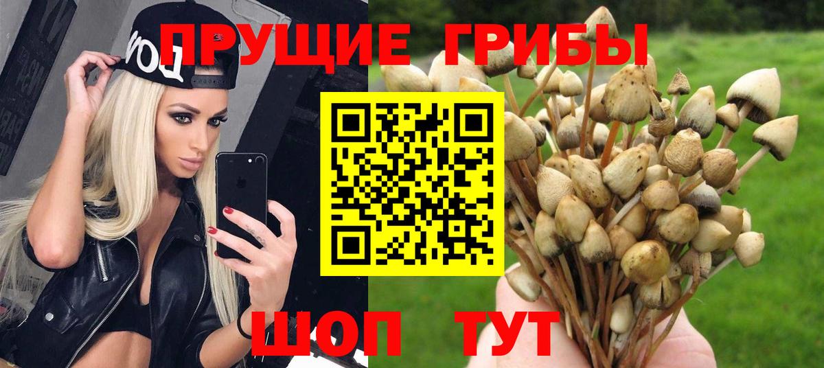 Псилоцибиновые грибы мухоморы Норильск