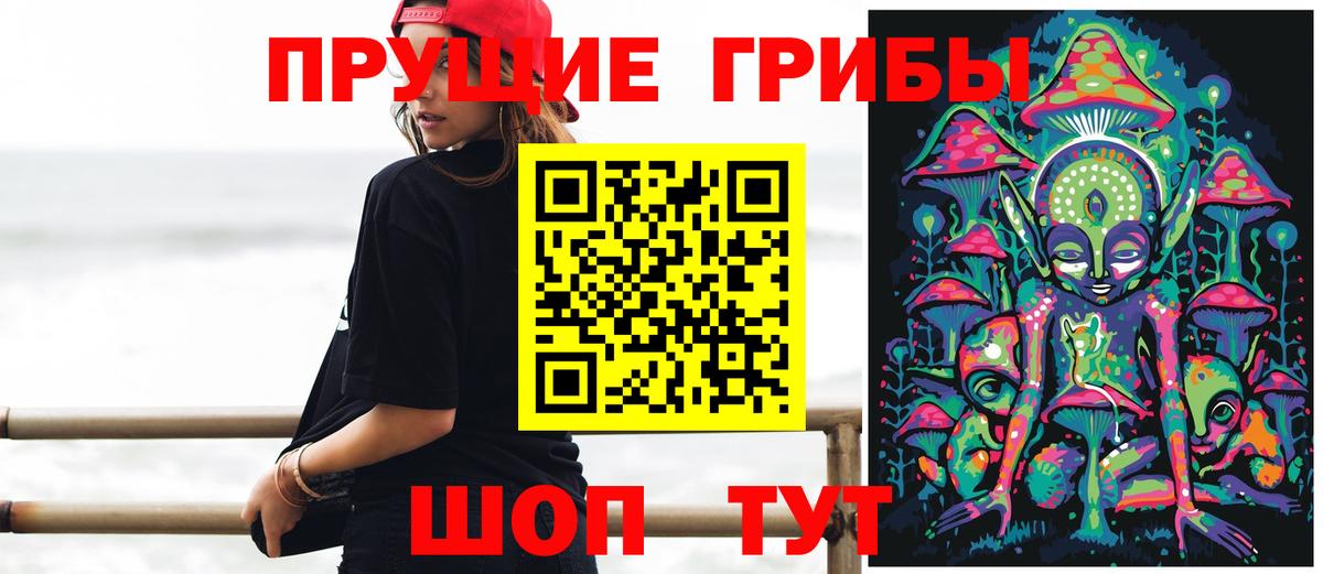 Псилоцибиновые грибы GOLDEN TEACHER  Вход с VPN  Псилоцибиновые грибы MAGIC MUSHROOMS  Норильск 